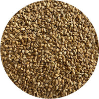 Browntop Millet