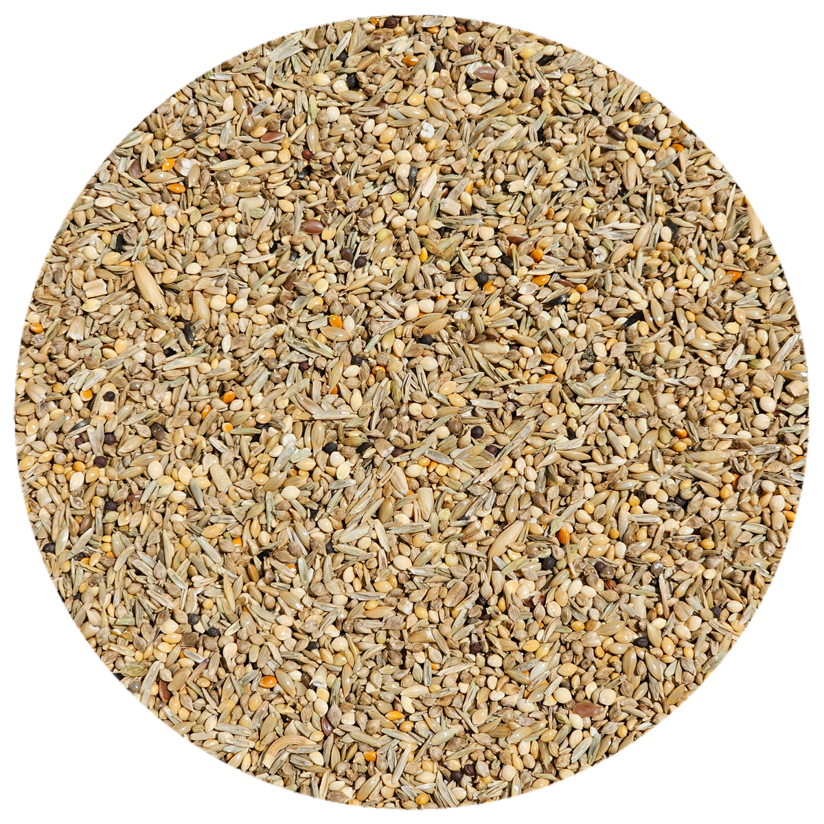 Paradise Aviary Breeding Season Finch Mix – Paradise Aviary Exotics