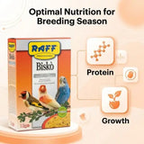 Raff Bisko