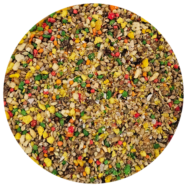 Paradise Aviary's Finch Candy